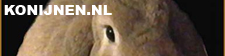 Konijnen.nl