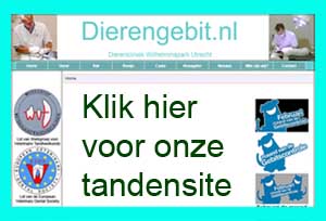 Klik hier om naar onze tandheelkundige site www.dierengebit.nl te gaan