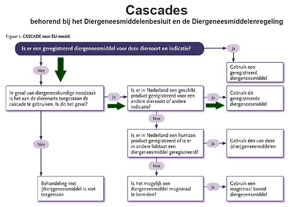 cascade naar EU model